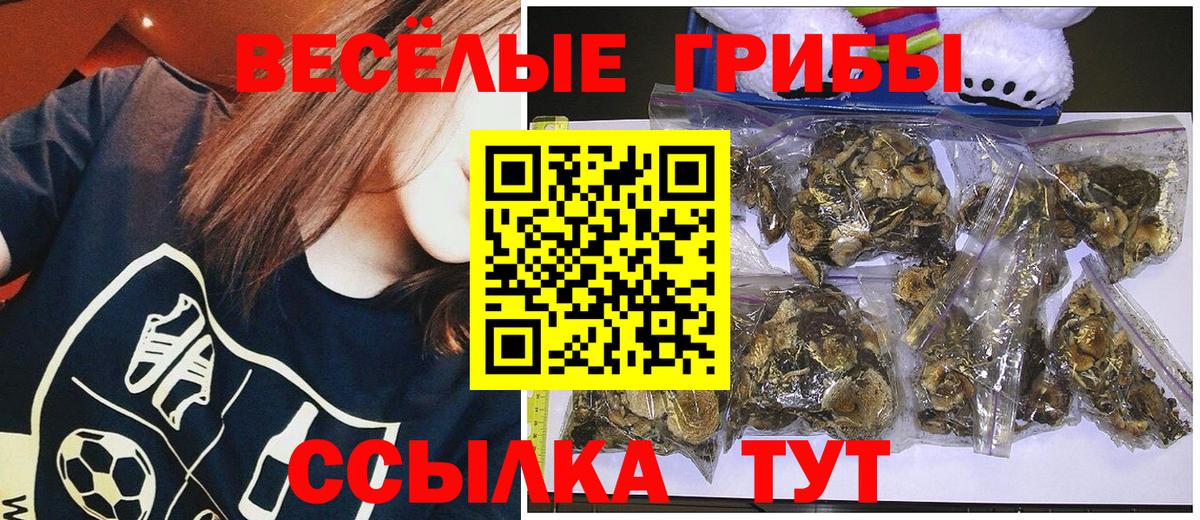 Кушва  Псилоцибиновые грибы Magic Shrooms  Псилоцибиновые грибы GOLDEN TEACHER  Вход с VPN 