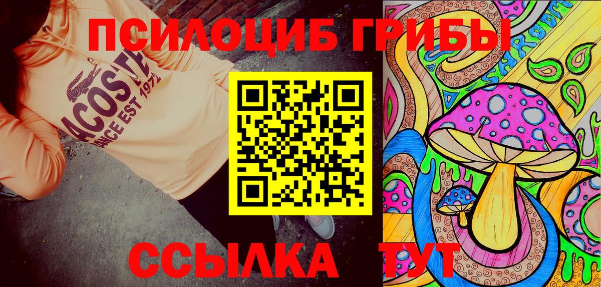 Галлюциногенные грибы Psilocybine cubensis Кушва